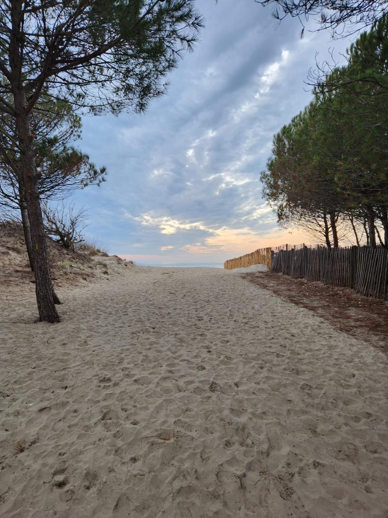 Le Peche Mignon - Appart 1 - Locationlatamarissiere Agde Buitenkant foto
